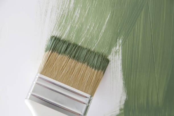 Best Basement Mold Removal  in Ingram, TX