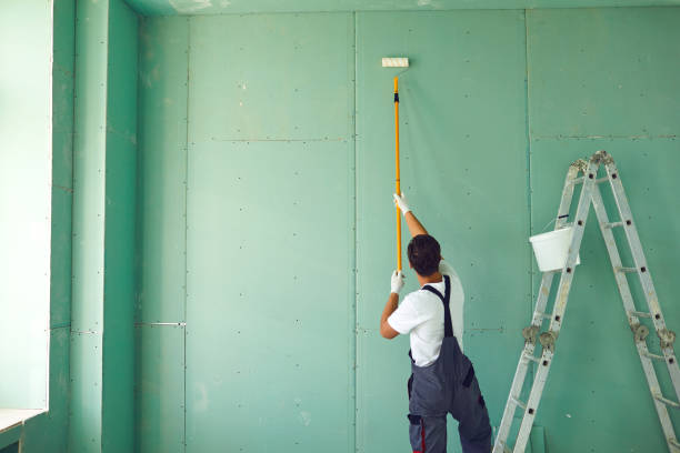 Best Dehumidification Services  in Ingram, TX