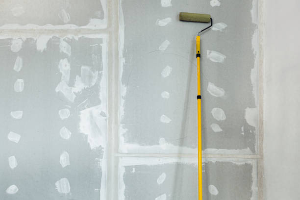 Best Mold Remediation for Healthcare Facilities  in Ingram, TX