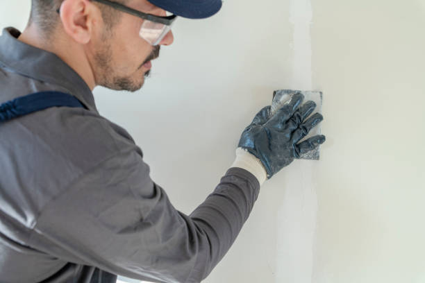 Mold Remediation for Rental Properties in Ingram, TX