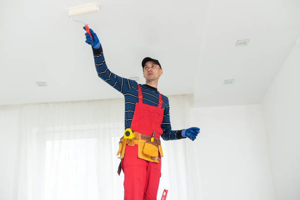 Best Mold Odor Removal Services  in Ingram, TX
