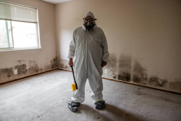 Best Biohazard Mold Removal  in Ingram, TX