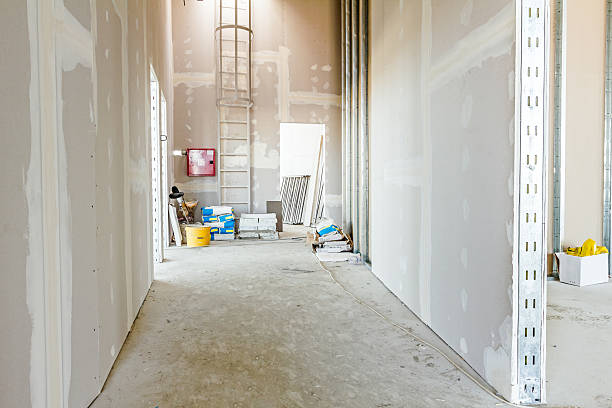 Best Comprehensive Air Testing for Mold Contaminants  in Ingram, TX