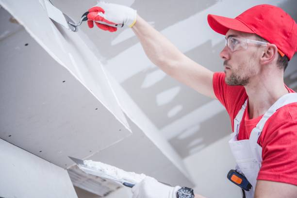 Best Crawl Space Mold Remediation  in Ingram, TX
